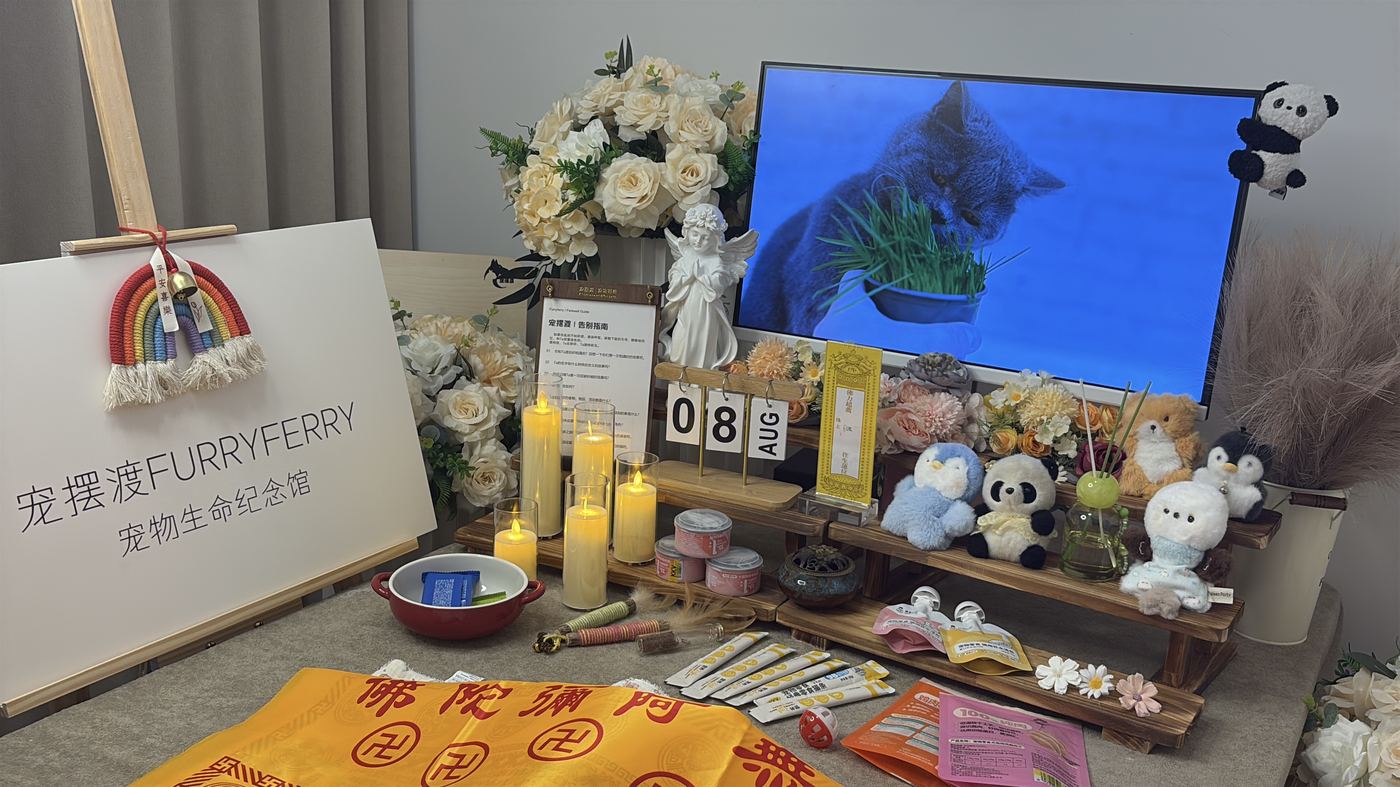 告别厅长什么样