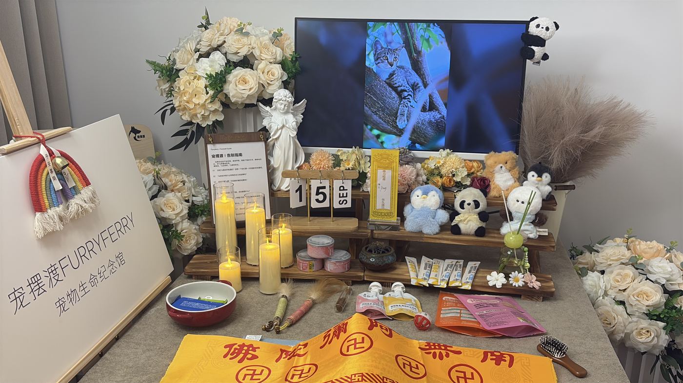 二、每一笔钱花在哪里