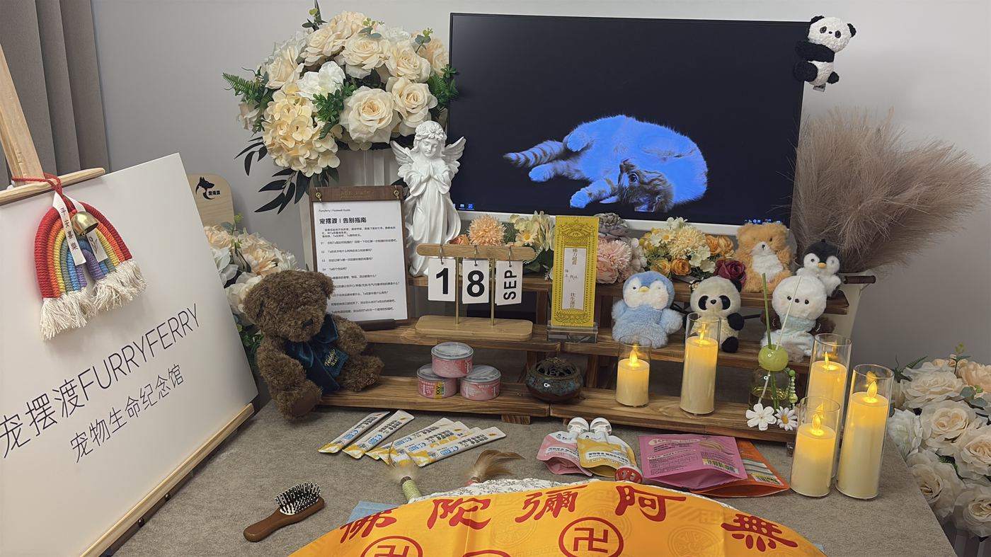 宠物殡葬里的环保问题