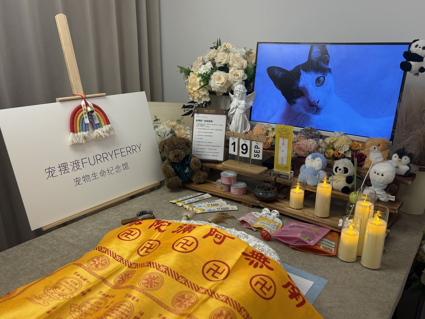 悲伤不需要理由