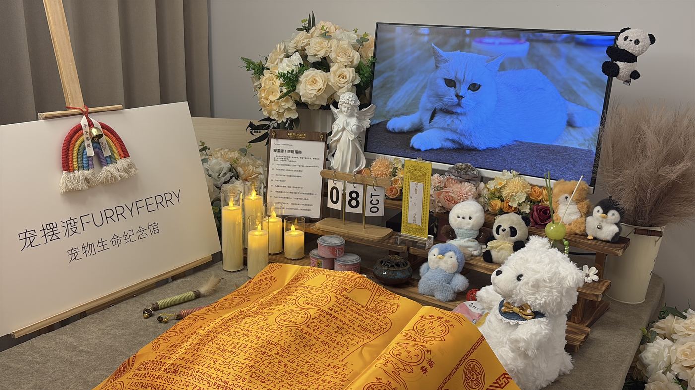深圳宠物火化多少钱？鹏城火化收费全解析